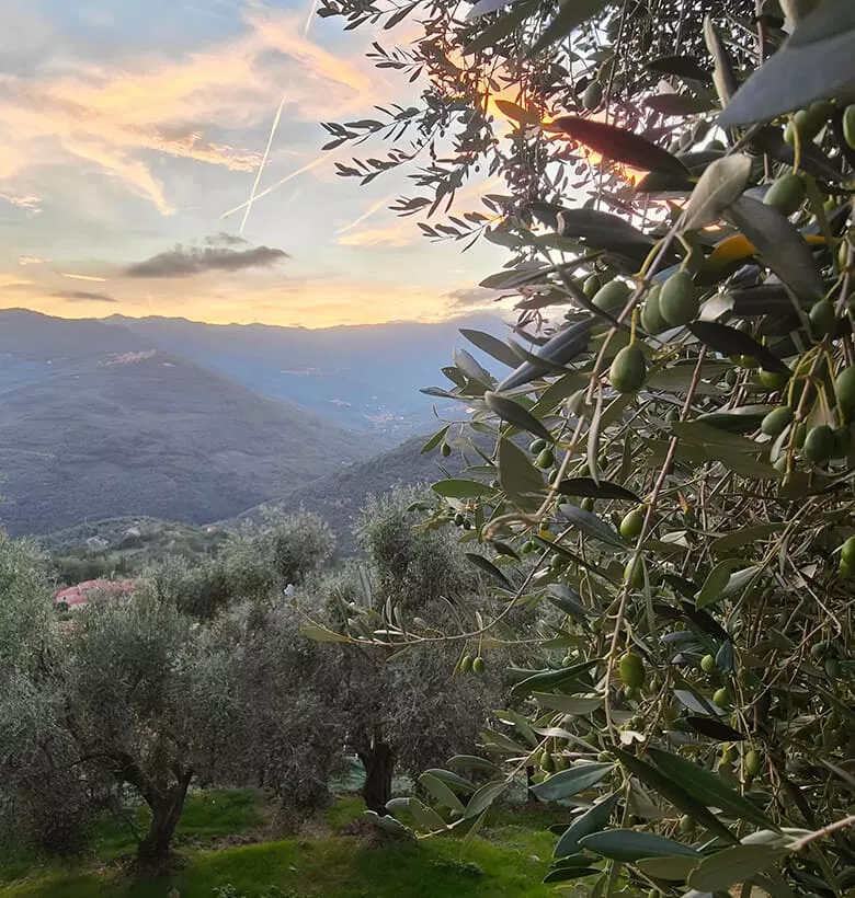 Il progetto Fratelli Ghersi