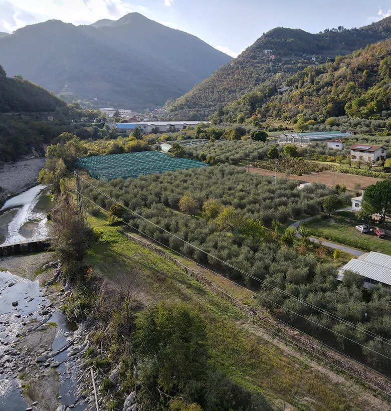 Il progetto Azienda Patrone
