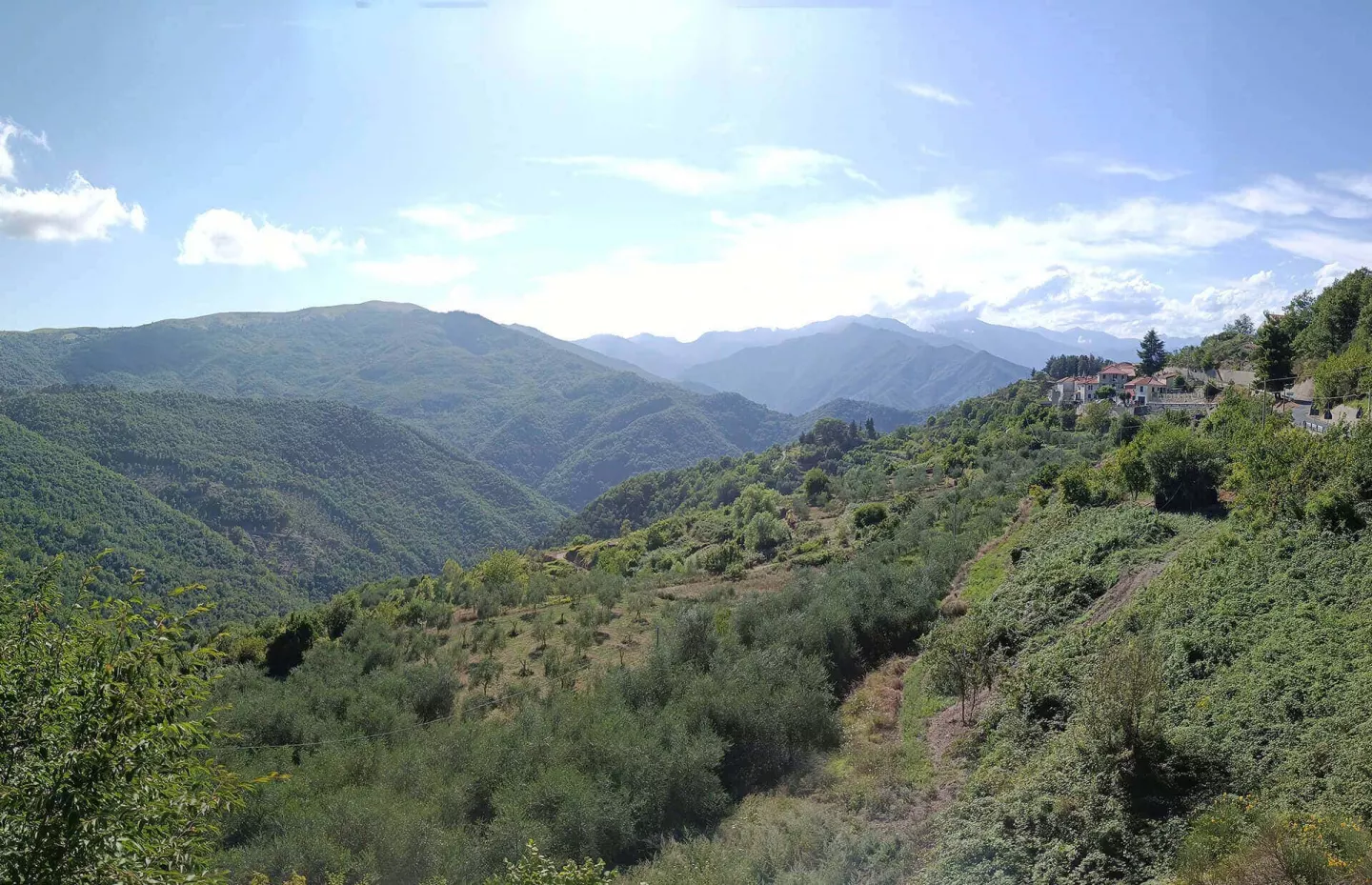 Il progetto D'Arroscia