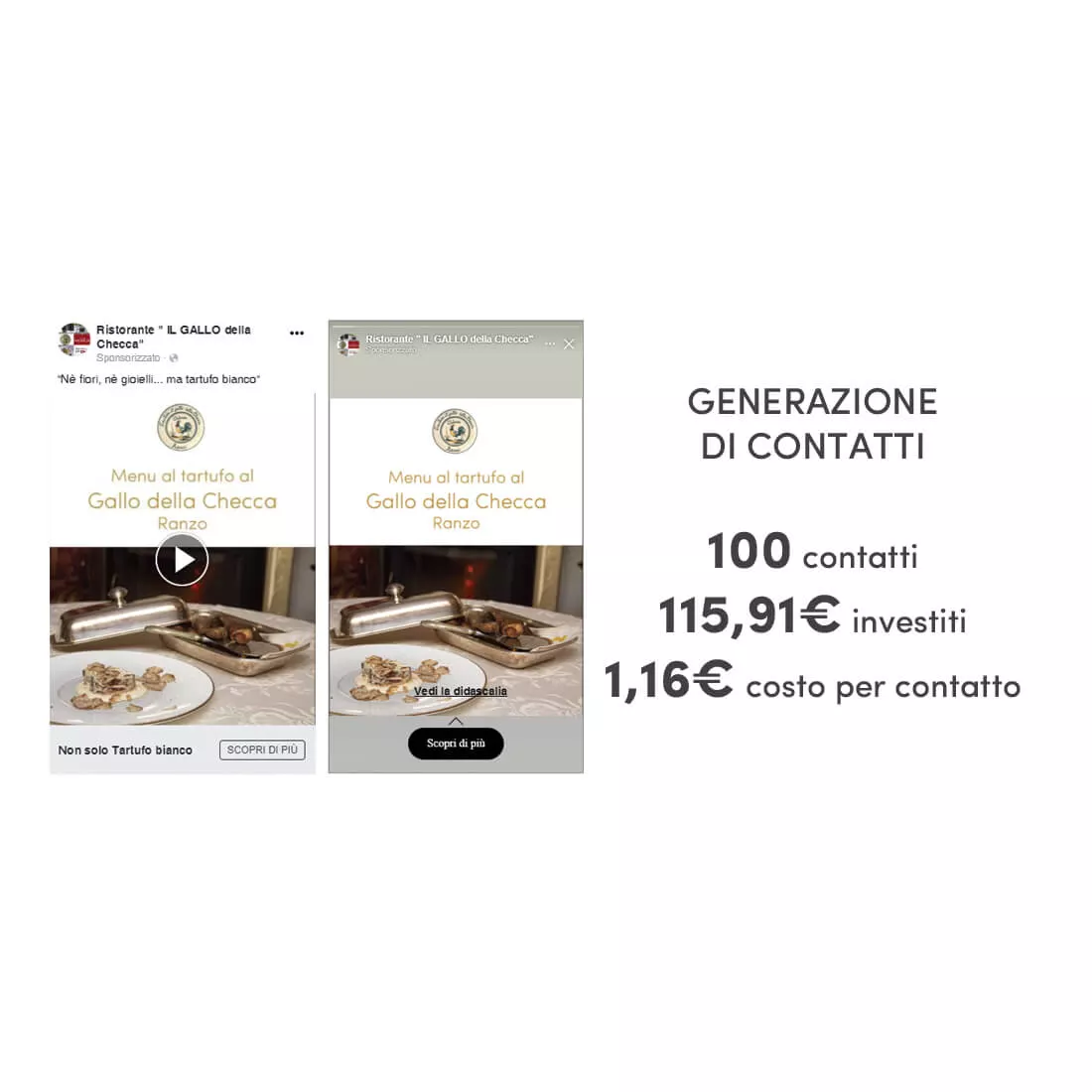Il progetto Campagne Marketing per Il Gallo della Checca