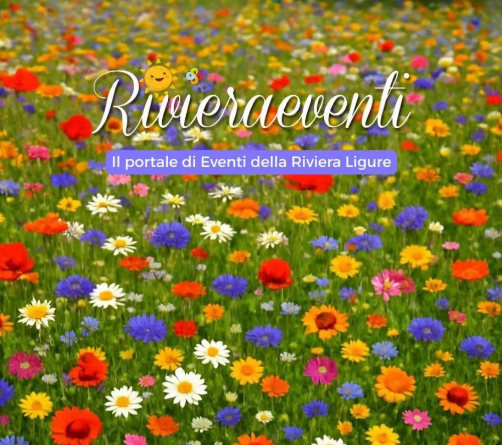 Il progetto Gestione dei social - Riviera Eventi