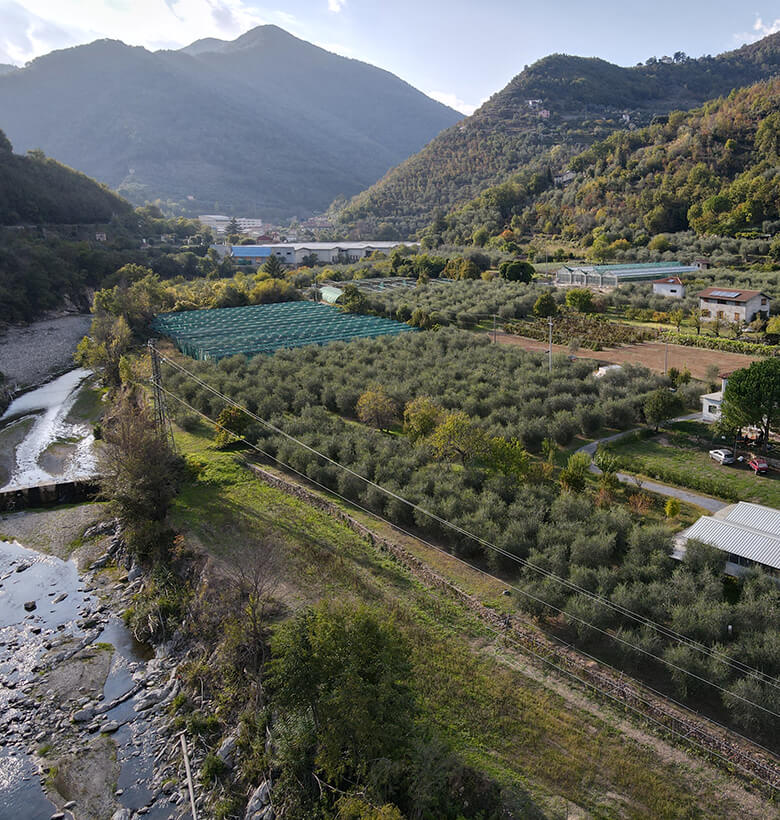immagine copertina Azienda Patrone