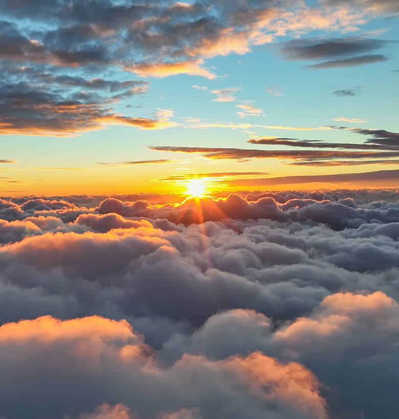 immagine copertina Onoranze Funebri Vitali